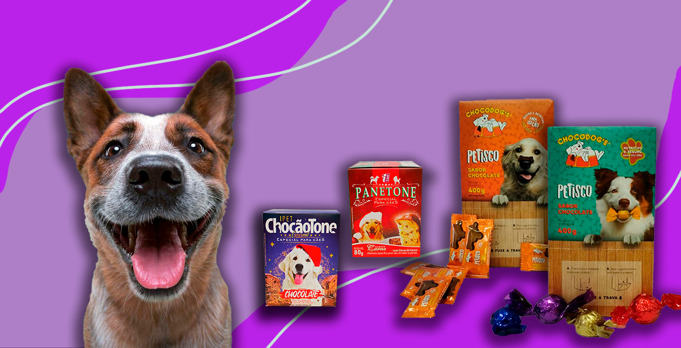 Por que cachorros não podem comer chocolate?